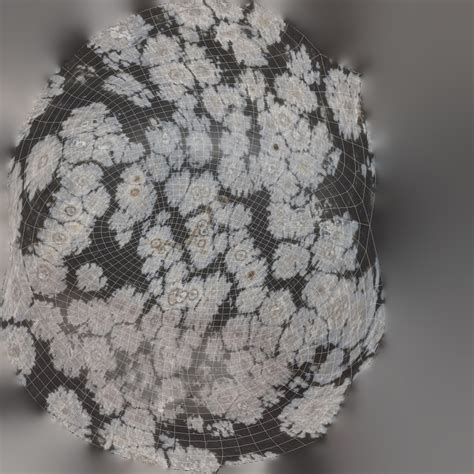 Image result for Snow Obsidian