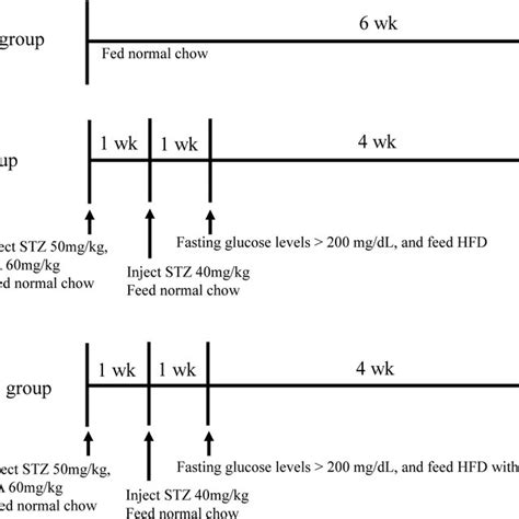 Image result for Pre-Lab Flow Chart