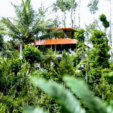 Halladagandi Homestay, Mudigere, Chikmagalur - Homestay Advisor