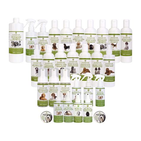 Buy 100% Natural Antifungal and Antibacterial Dog Shampoo - Yeast ...