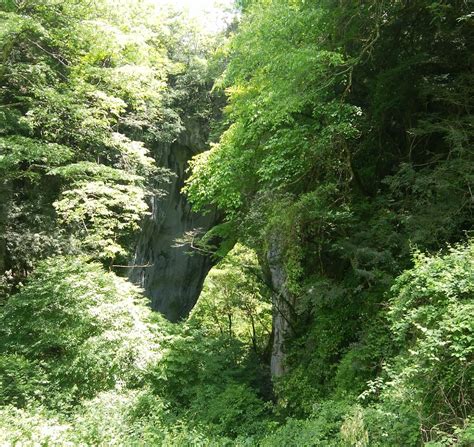 RASHOMON (2025) All You Need to Know BEFORE You Go (with Photos ...