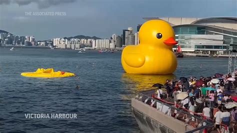 Image result for Deflating Inflatable Duck