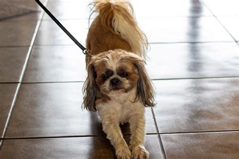 Gallery | Flag City RV Park | Top-Rated RV Sites in Lodi, CA