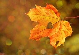 Image result for Queues Using Lists in Python