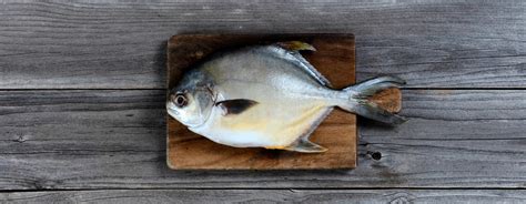 Indian Butter Fish (Paplet)