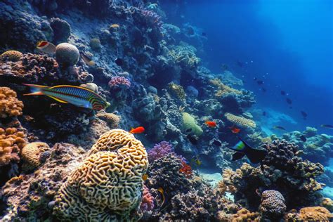 Image result for Data Analysis with Python Meaning