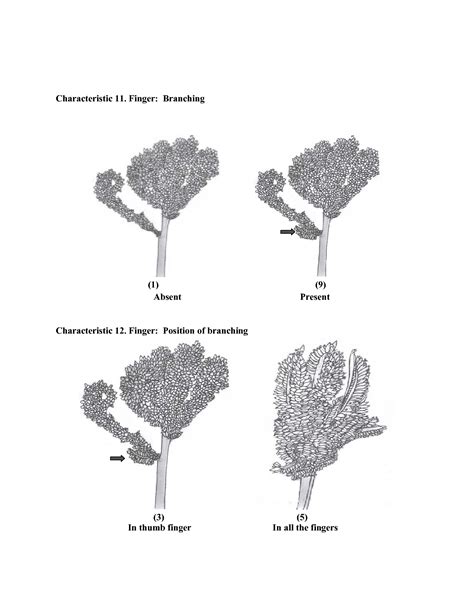 Second Issue - 02 February, 2015 (Vol.9 No.02) | Official website of ...