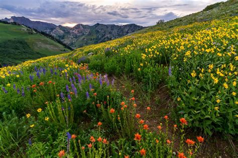 10 Best Landscape and Scenic Photos of 2015 | Clint Losee Photography