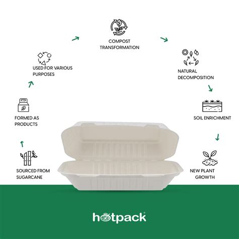 Biodegradable Disposable Rectangular Clamshells | India – Hotpack India