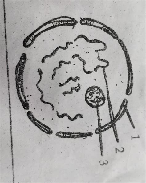 Study the diagram given below and answer the questions that follow.(a ...
