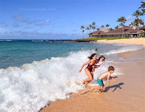 Hawaii in February: Everything to Know For Your Trip - The Hawaii ...
