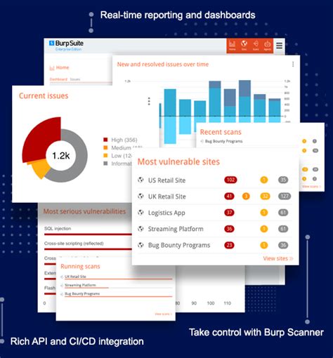 Kuvatulokset haulle burp scans
