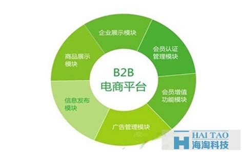 B2B平台简介及其网站建设特点-海淘科技