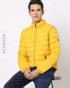 Buy Golden Jackets & Coats for Men by Point Zero Online | Ajio.com