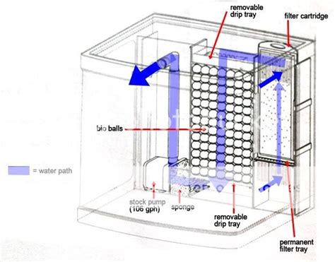 Image result for Biocube Maintenance Tips