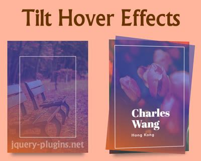 Image result for JavaScript Effects