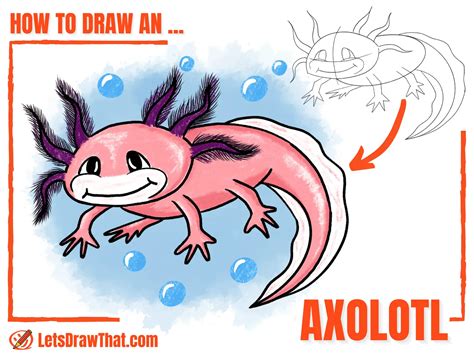 How to Draw an Axolotl - Cute Axolotl Drawing