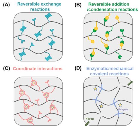 Dynamic Covalent Hydrogels: Strong yet Dynamic