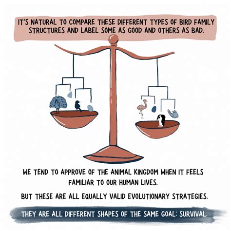 The wild science (and drama) of bird families : NPR