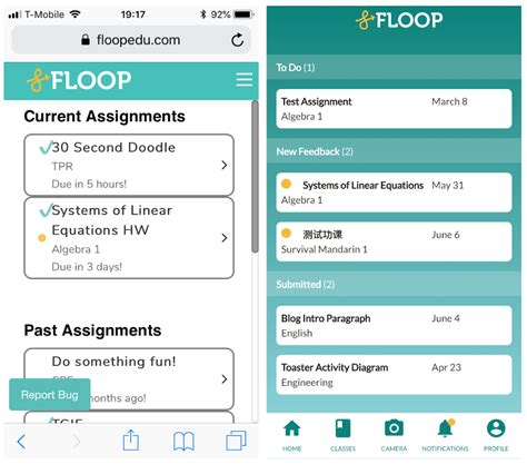 Image result for Floop Pg