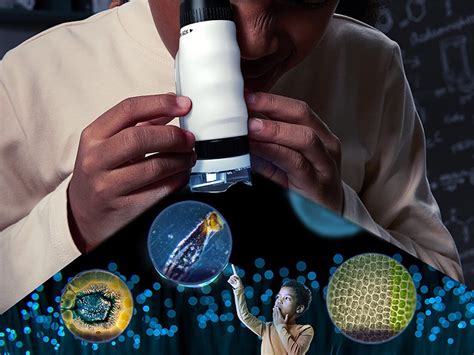 Kids First Microscope 的图像结果