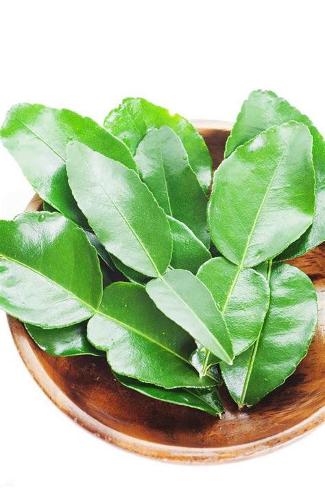 Kaffir Lime Leaves Substitute (12 Alternative Ingredients) - Flavorful Home