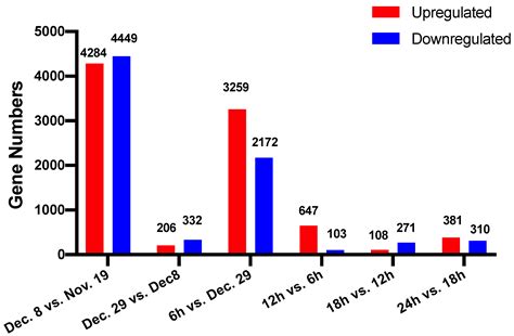 Comparative Transcriptomic Analysis Provides Insight into the Key ...