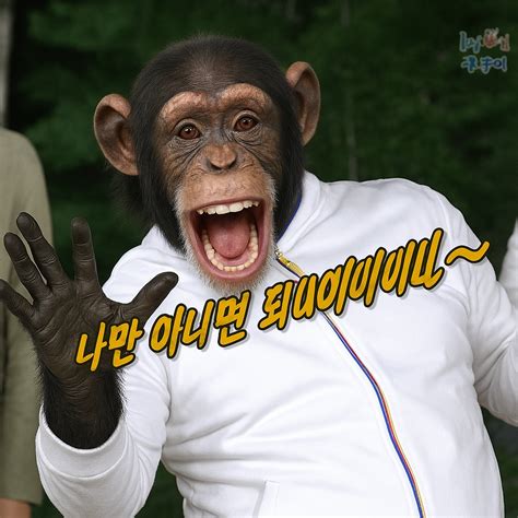 팬치 버전 - 숲(SOOP) - 에펨코리아