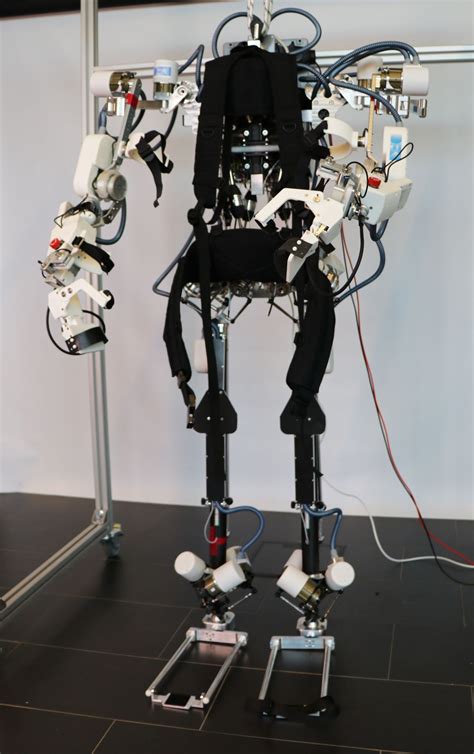 Body Testing Robot 的图像结果