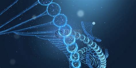 DNA分子 免费的3D模型 - .c4d .fbx - Free3D