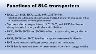 Slc46 Structure 的图像结果