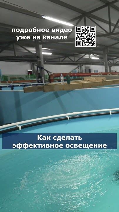 Как сделать эффективное освещение #акварост #рыба - YouTube