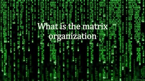 Matrix Management Principles 的图像结果