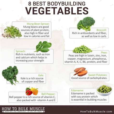 8 Best Bodybuilding Vegetables - Muscle Archive