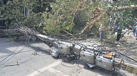 3 dead, houses damaged in storm in Delhi; yellow alert in place | India ...