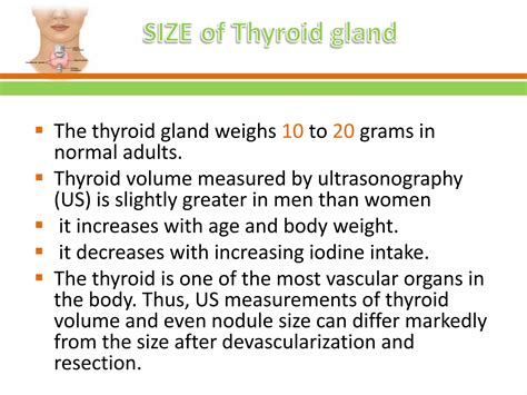 Anatomy of thyroid gland | PPTX