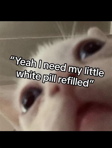 Walmart Connexus host profile/patient online access : r/PharmacyTechnician