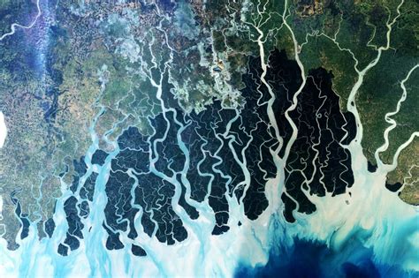 Image result for Delta PCO2