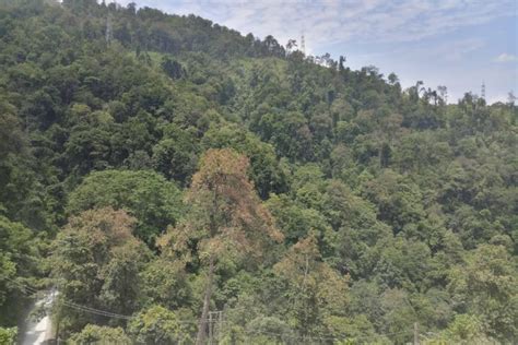 The Sivok-Rangpo Sikkim rail project will harm the environment, say ...