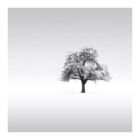 Allianz - AWP | Oturum Açın