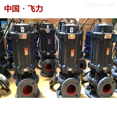 EBARA BEST不锈钢潜水泵_荏原水泵|EBARA|日本泵|进口泵|EBARA PUMP|上海泉脉泵业有限公司