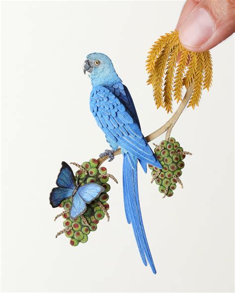 Miniature Paper Cut Wildlife Art – The Paper Ark