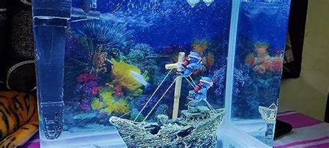 Jainsons Pet Products Minjiang Fish Aquarium Tank (HR3-380, Capacity ...