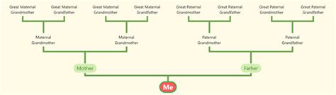 Image result for Family Tree Small Tree