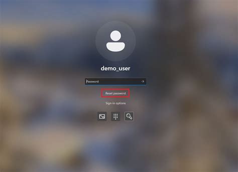 Image result for Windows 11 Password Input