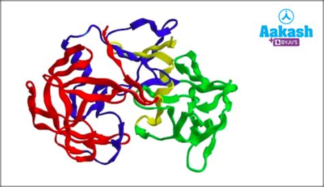 Enzymes in Biology: Definition, Types and Importance | AESL
