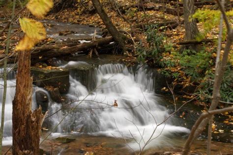Autumnal Waterfall Tutorial 的图像结果