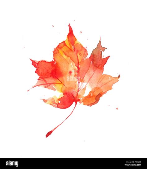Beautiful bright autumn leaf. Watercolor autumn leaf. Watercolor ...