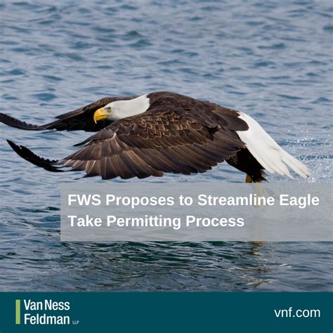 FWS Proposes to Streamline Eagle Take Permitting Process | Van Ness ...