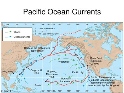 pacific ocean currents